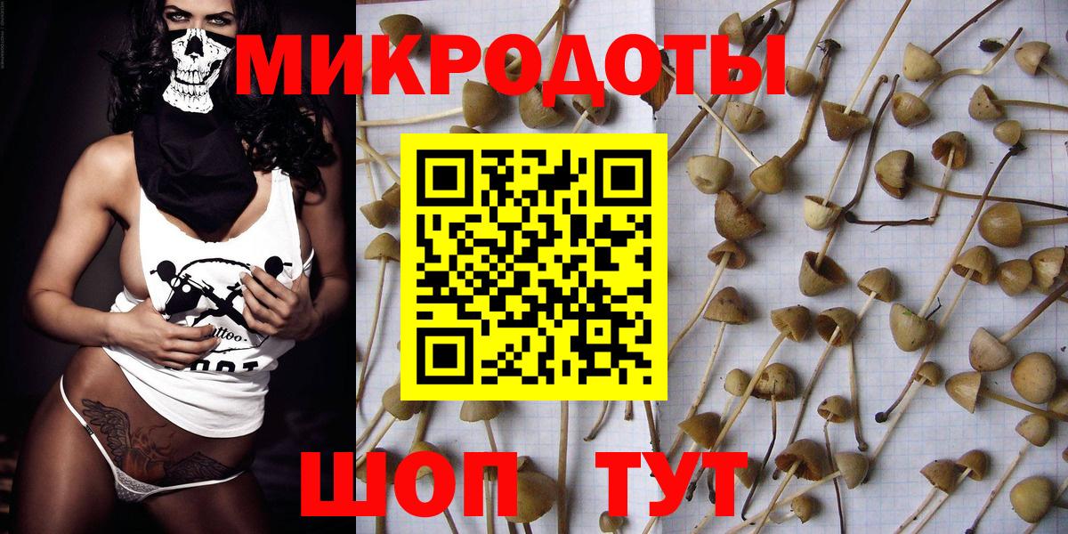 Псилоцибиновые грибы мицелий  купить наркотики сайты  Вход с VPN  Артём  Галлюциногенные грибы Cubensis 
