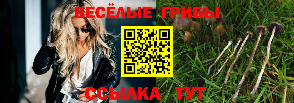 Псилоцибиновые грибы Psilocybe Артём