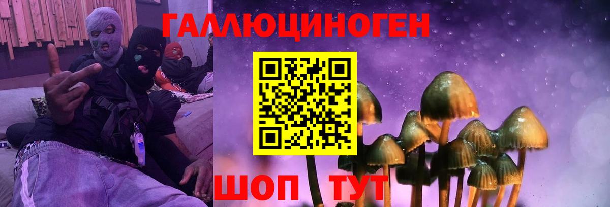 Галлюциногенные грибы Psilocybine cubensis Артём